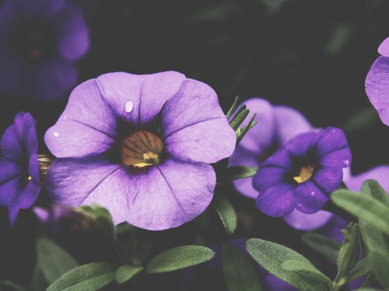 sudoku zen mode screenshot 3